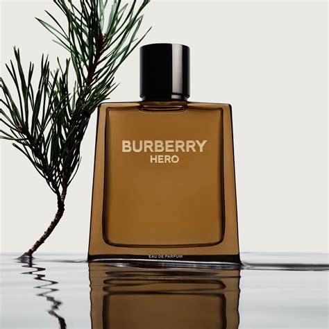 burberry crema uomo|burberry signature perfume for men.